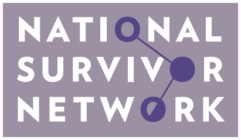 NSN Logo